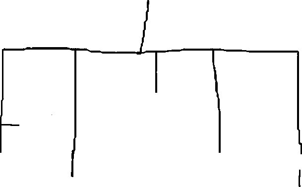 arborescence